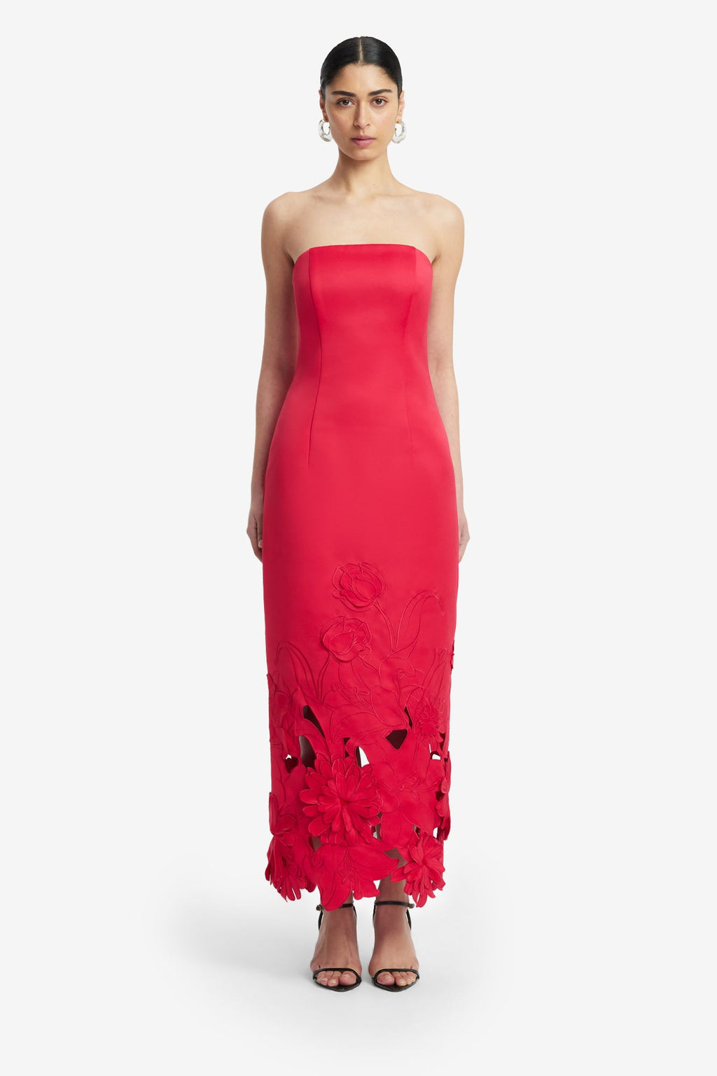 Rayna Appliqué Bustier Maxi Dress - Rosa