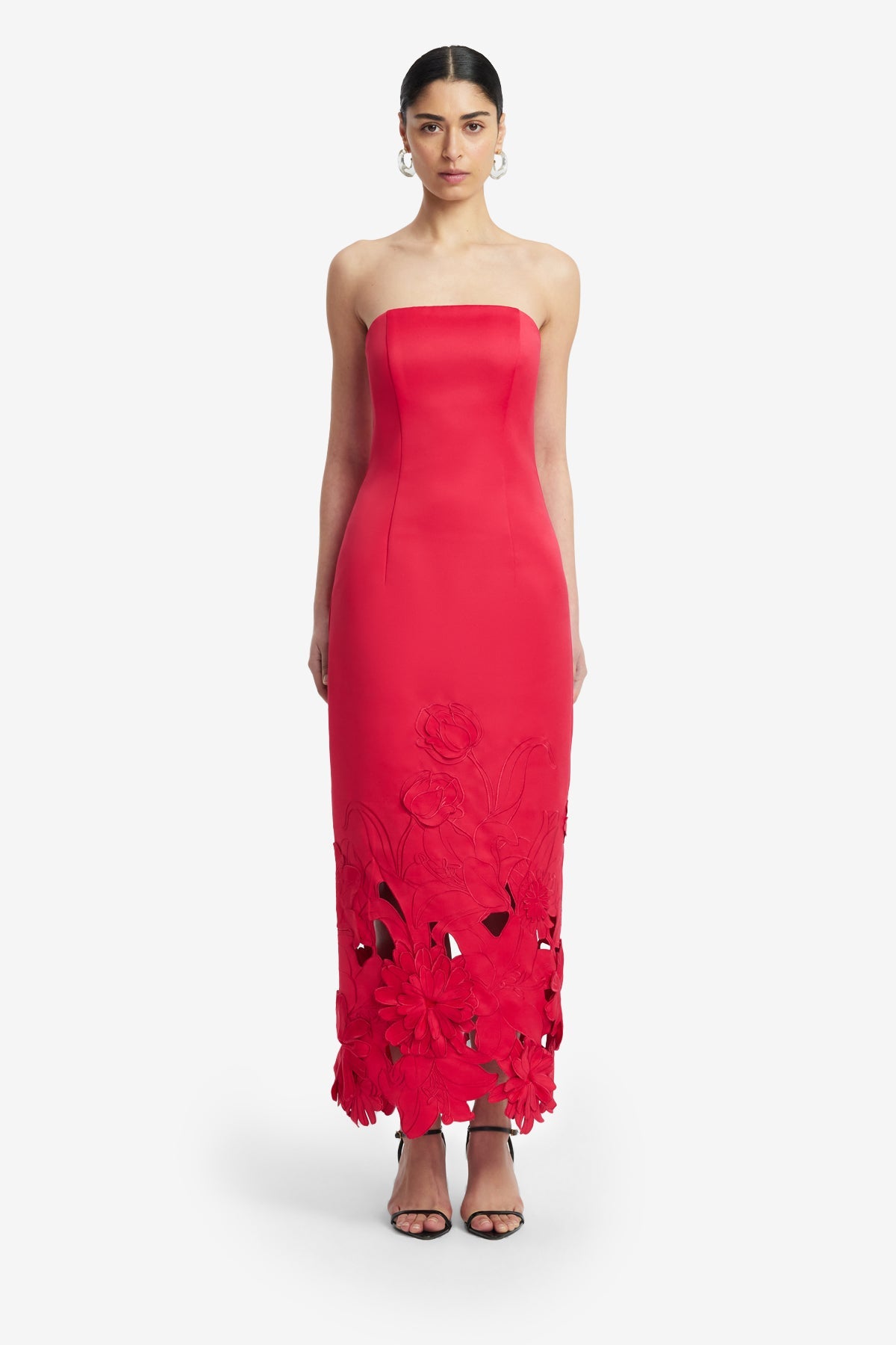 Rayna Appliqué Bustier Maxi Dress - Rosa