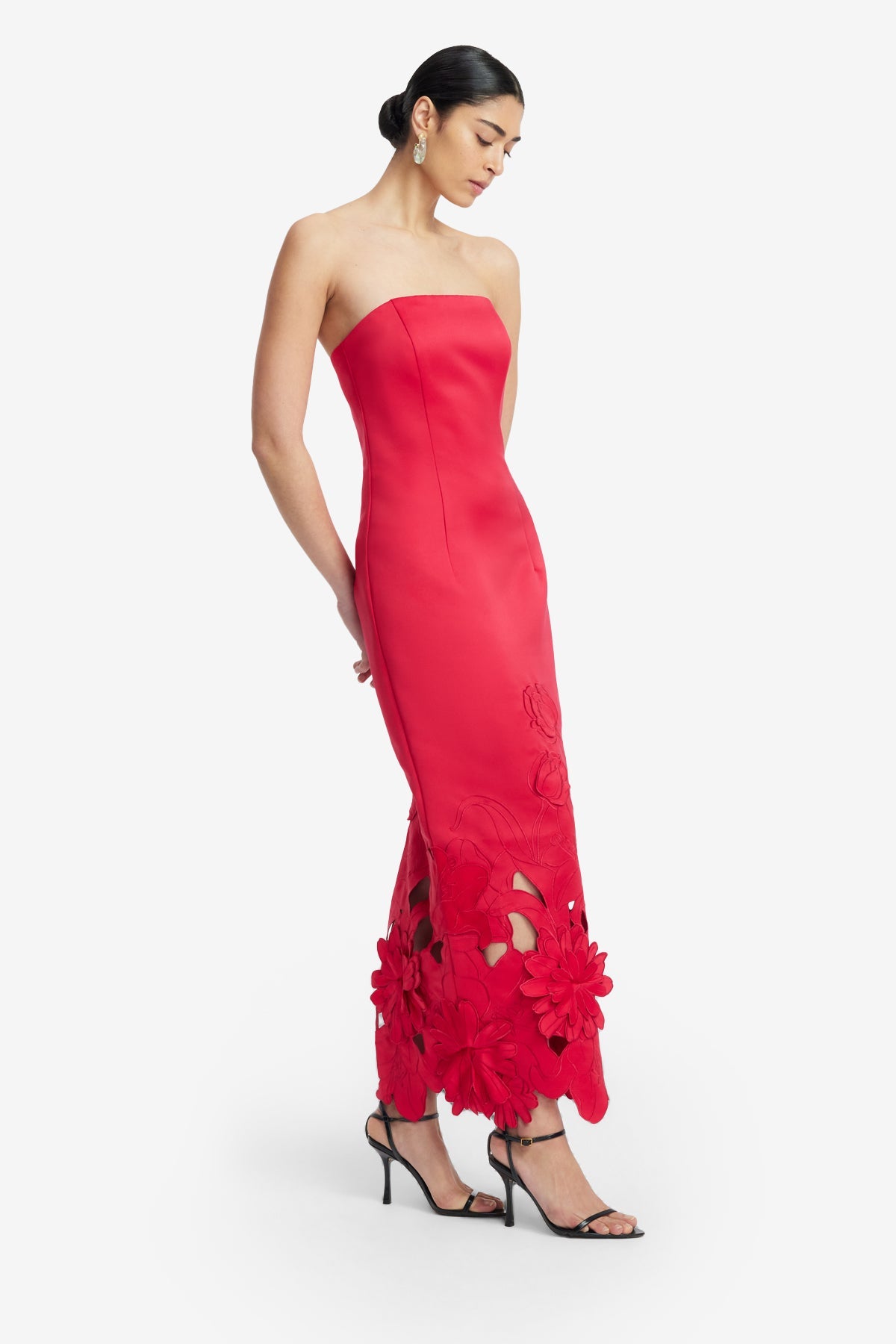 Rayna Appliqué Bustier Maxi Dress - Rosa