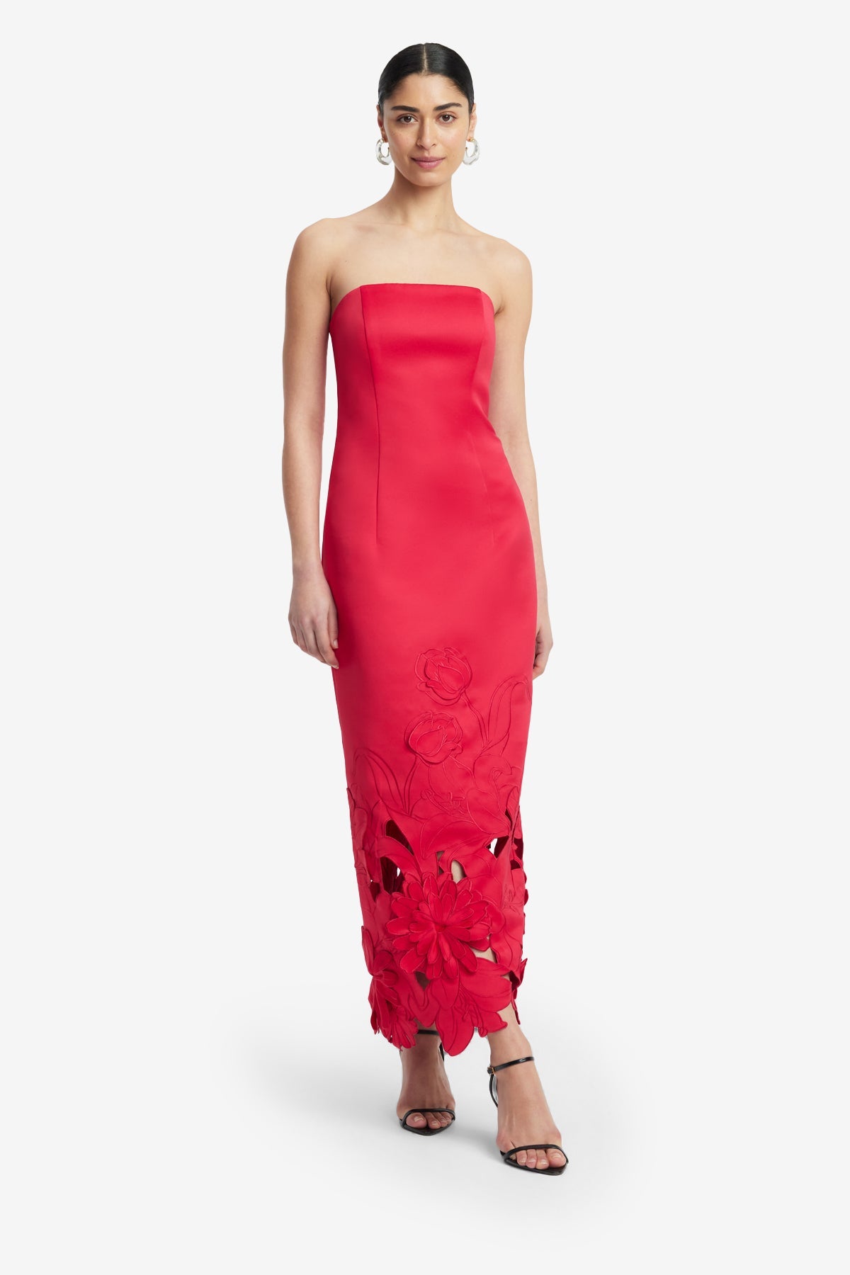 Rayna Appliqué Bustier Maxi Dress - Rosa