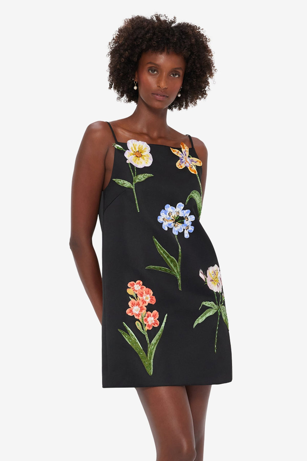 Leia Embroidered Mini Dress - Botanical Print in Ebony